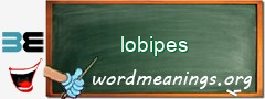 WordMeaning blackboard for lobipes